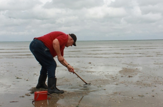 pêche à pied